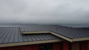 Best Rubber Roofing (EPDM, TPO)  in Ridgeway, VA